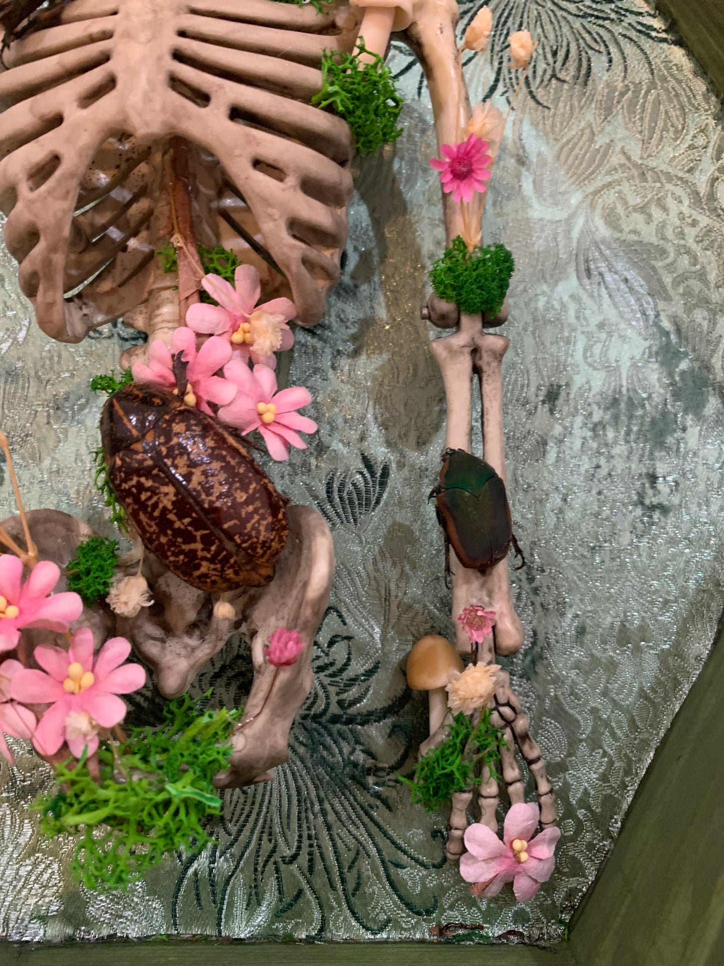 Life and Death