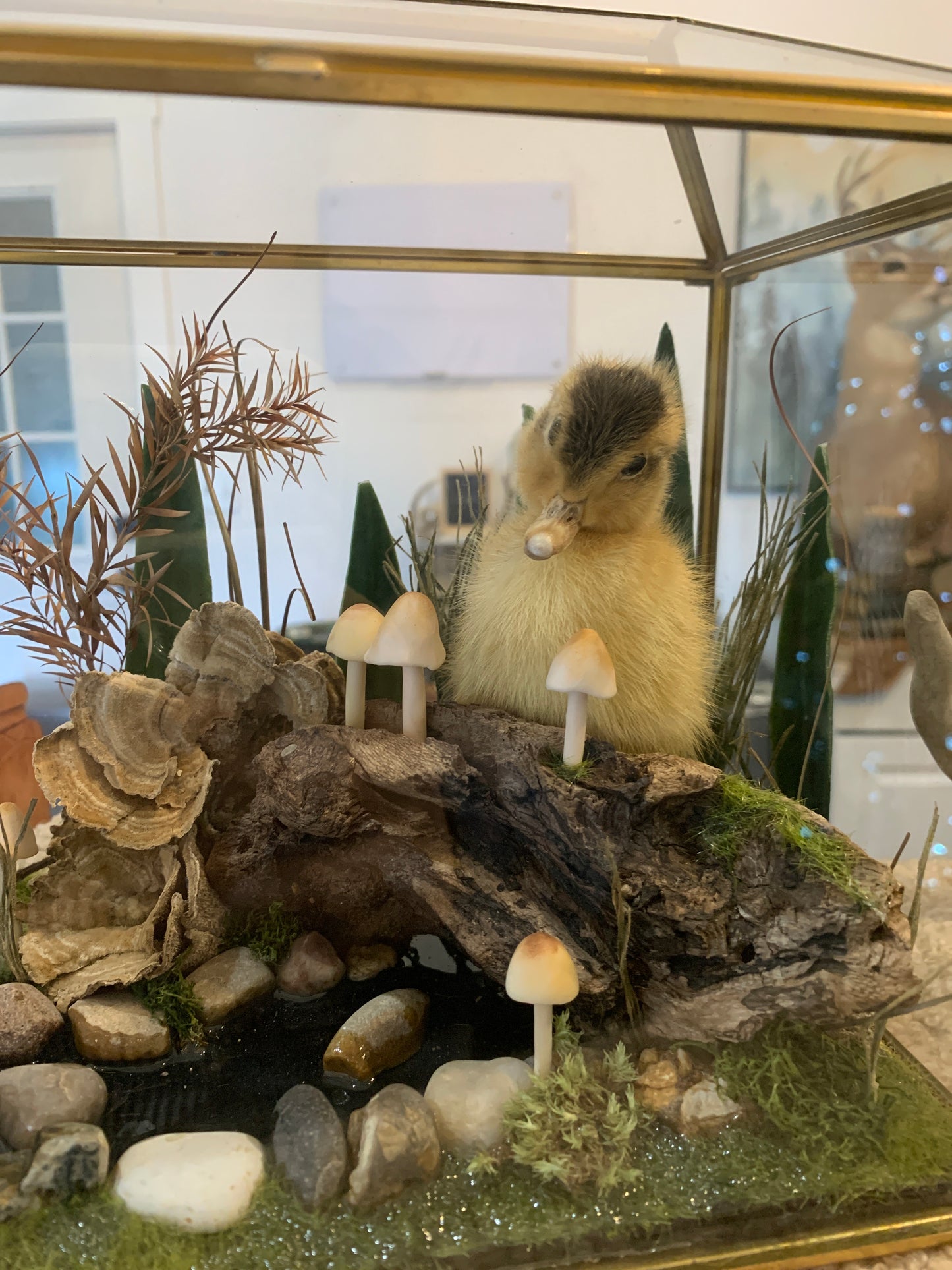 Duckling and Mouse