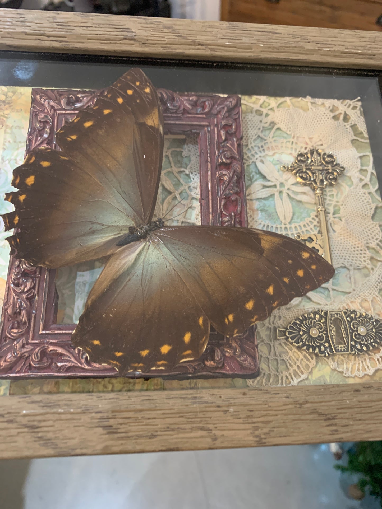 Butterfly Scrapbook Frame