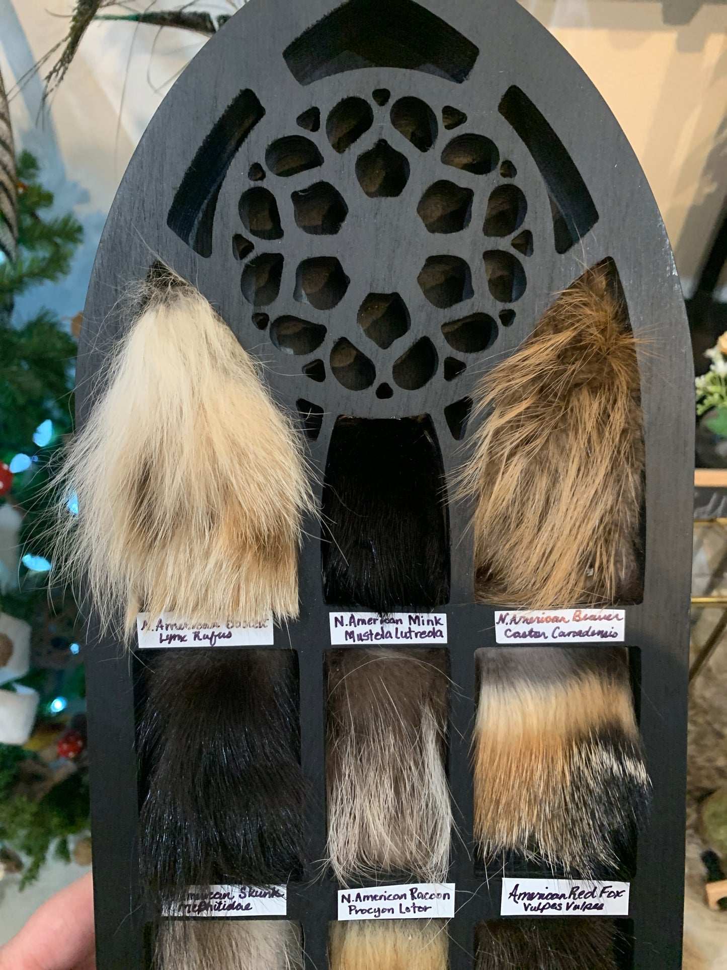 Fur Collection Shelf